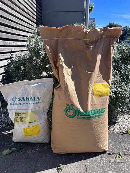 Dill och salladslök frö