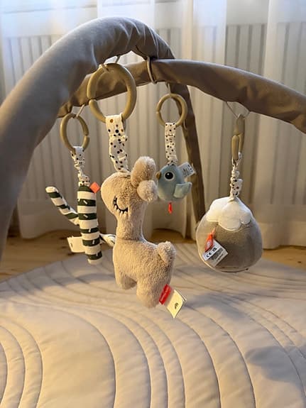 Babygym Don by deer
