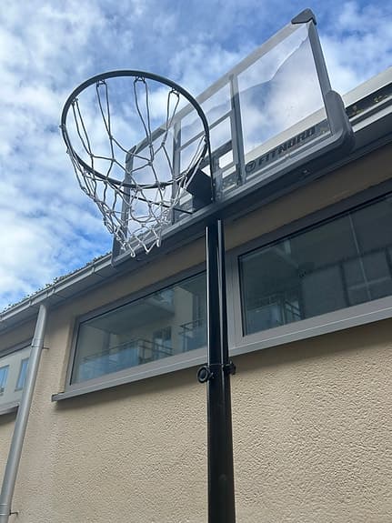Basketkorg på ställning 3 veckor gammal