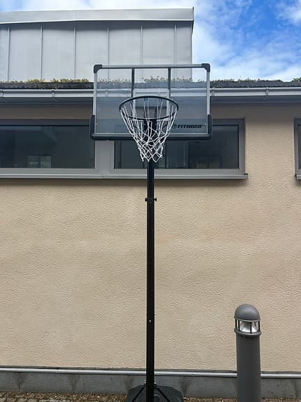 Basketkorg på ställning 3 veckor gammal