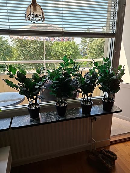 Konstväxt Garderobsblomma. 6 stammar. 150 kr/st.
