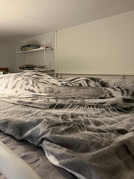 Loftsäng