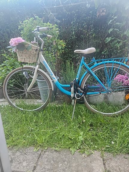 Bornsheep Yosemite City Comfort 28” – 7 växlar