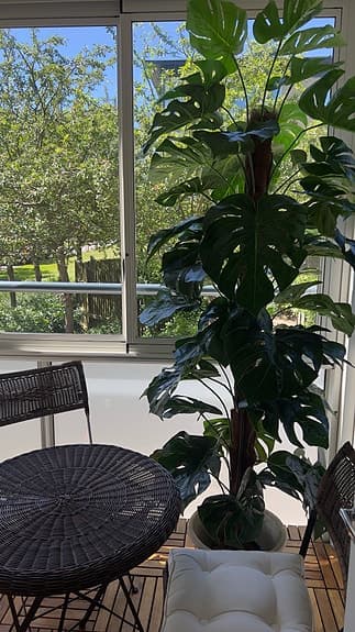 Grön konstgjord monstera växt ca 2m