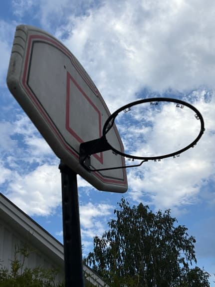 Flyttbar basketställning med platta ,Pro Touch.