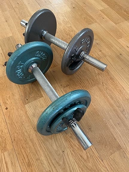 Skip Sport hantlar med viktskivor