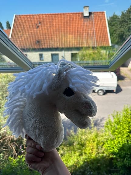 Gullig liten käpphäst