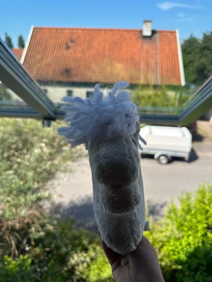 Gullig liten käpphäst