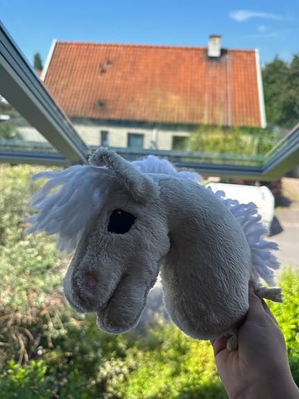 Gullig liten käpphäst
