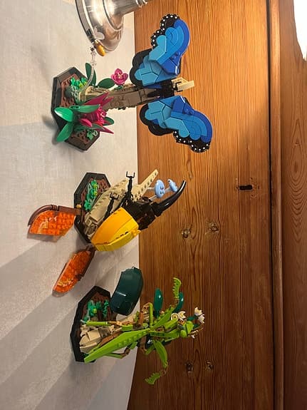 Lego ideas #21342 The Insect Collection
