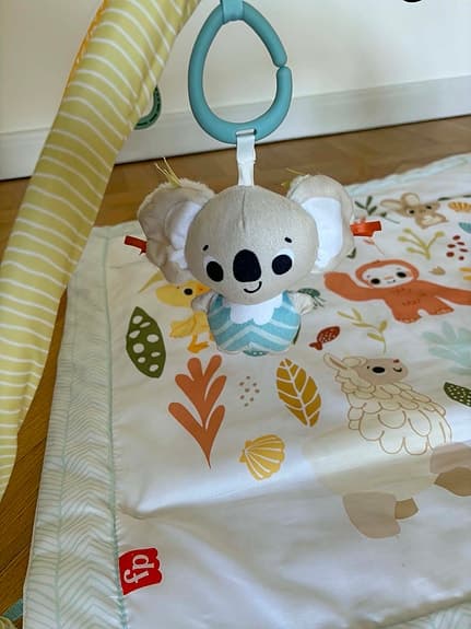 Fisher-Price babygym