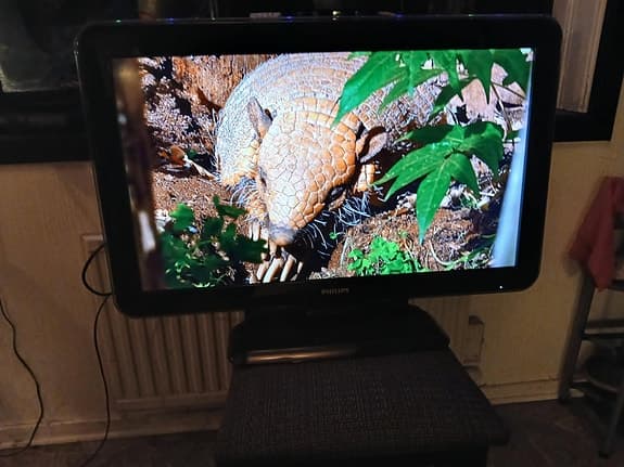 Philips 32" LCD TV.