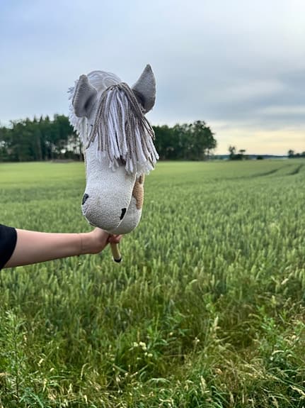 Käpphäst utrustning och tillbehör tillkommer