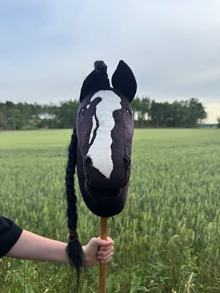 Käpphäst tillbehör och utrustning tillkommer