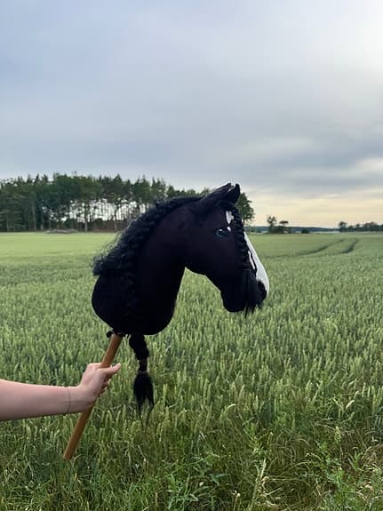 Käpphäst tillbehör och utrustning tillkommer