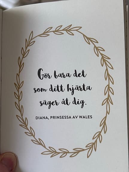 She Believed She Could So She Did citatbok engelska