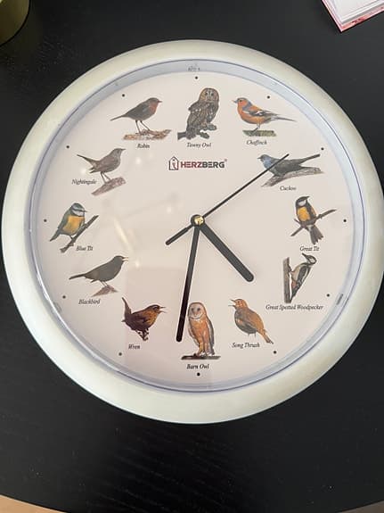 Klocka med fågelsång 🐦