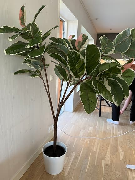 IKEA Konstgjord växt FEJKA + kruka