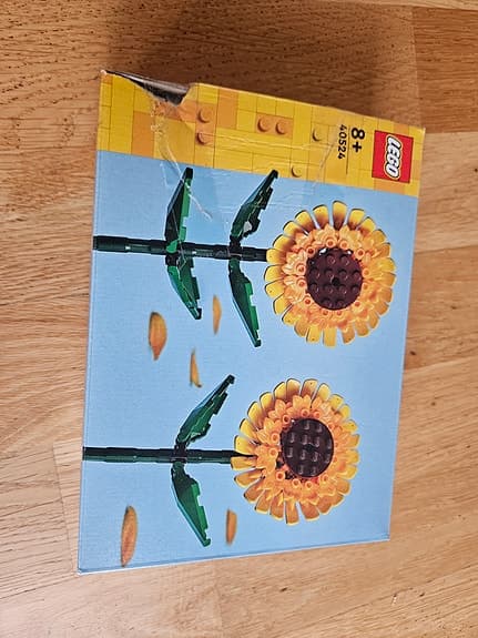 LEGO Botanical Collection blommor och Harry Potter set