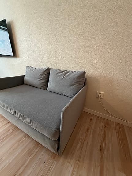 FRIDHULT Bäddsoffa, Ljusgrå från IKEA
