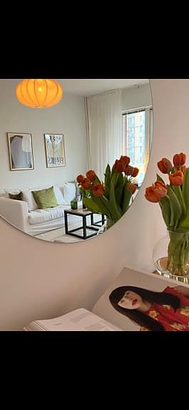 Mio rund väggspegel 80Ø