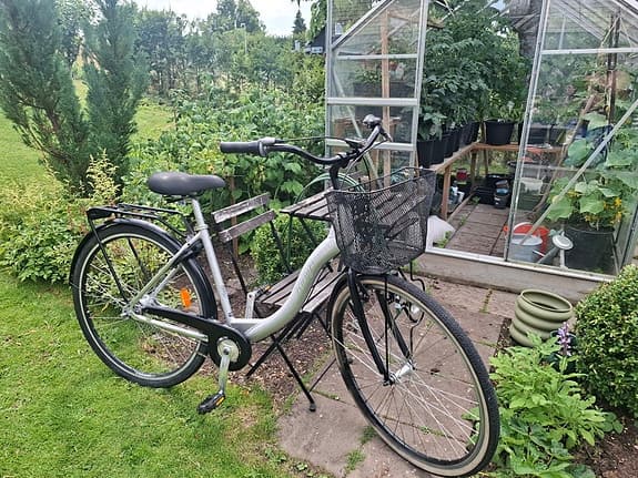 damcyklar