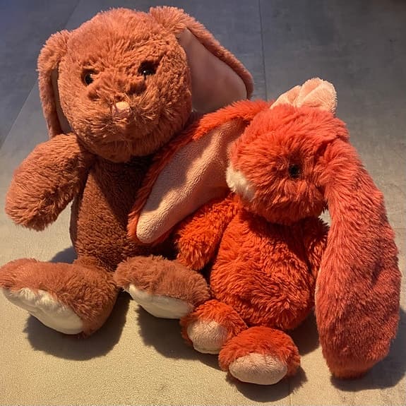 Två mjuka och fina gosedjurskaniner