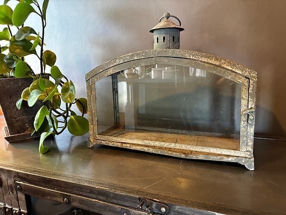 Gulligt miniväxthus för fönsterbänken