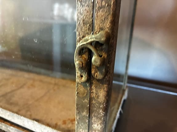 Gulligt miniväxthus för fönsterbänken