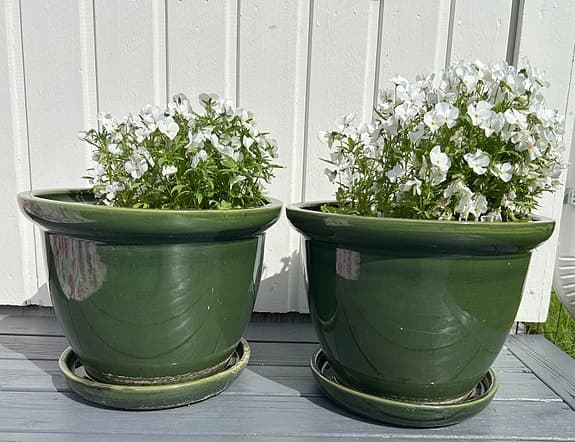 Stora glaserade ytterkrukor gröna och vita utekrukor