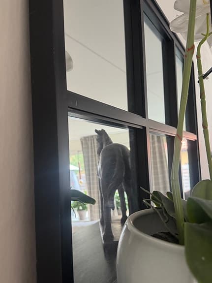 väggspegel med svart ram