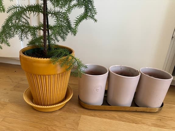 Svenskt tenn krukor Bergs Potter