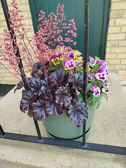 Elho stor grön kruka med planterade blommor