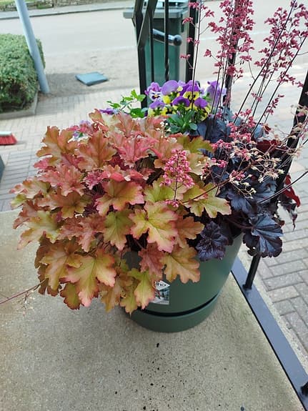 Elho stor grön kruka med planterade blommor