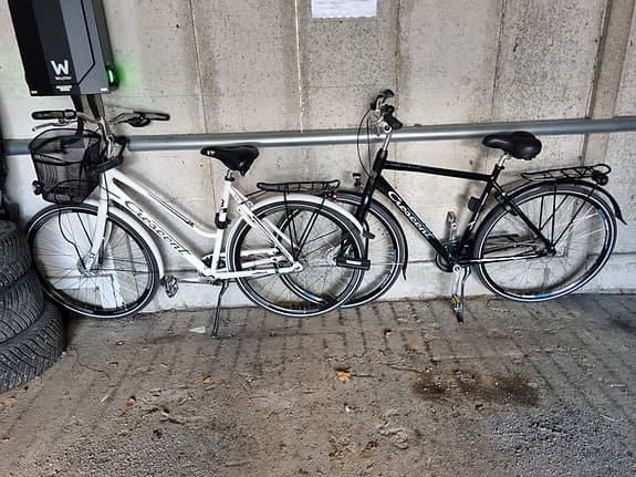 Cyklar dam och herr