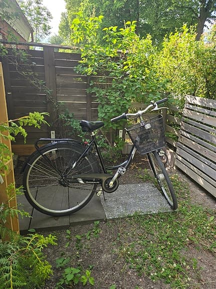 Damcykel Rex 3-växlad