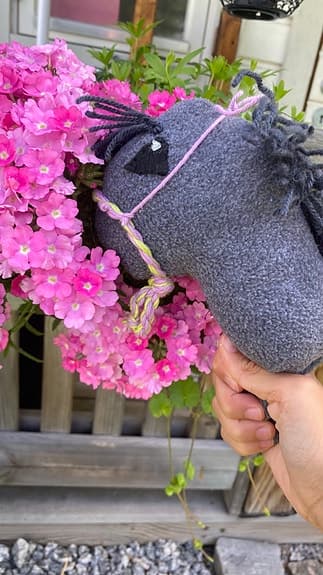 Fin käpphäst