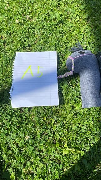 Fin käpphäst