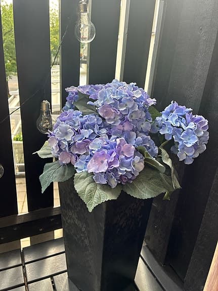Blå/lila hortensia i kruka konstväxt