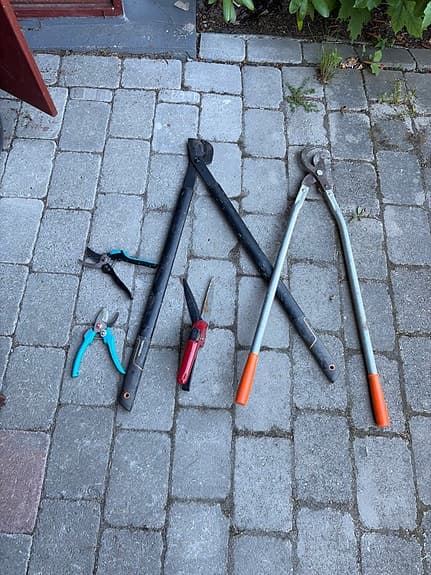 Trädgårdsredskap sekatörer och grensaxar