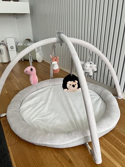Baby gym