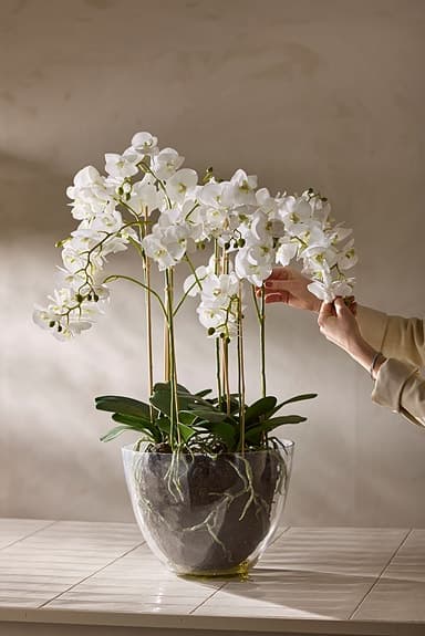 Vit orkidé i glasvas från Mr plant 90 cm