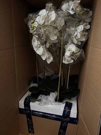 Vit orkidé i glasvas från Mr plant 90 cm