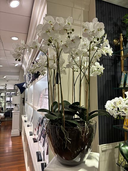Vit orkidé i glasvas från Mr plant 90 cm