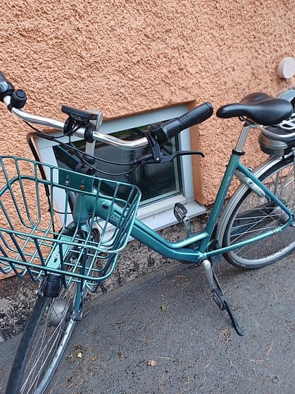 Batavus Torino E-go Comfort