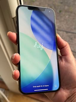 Apple iPhone 12 Pro Max 256 GB grafit i mycket fint skick!