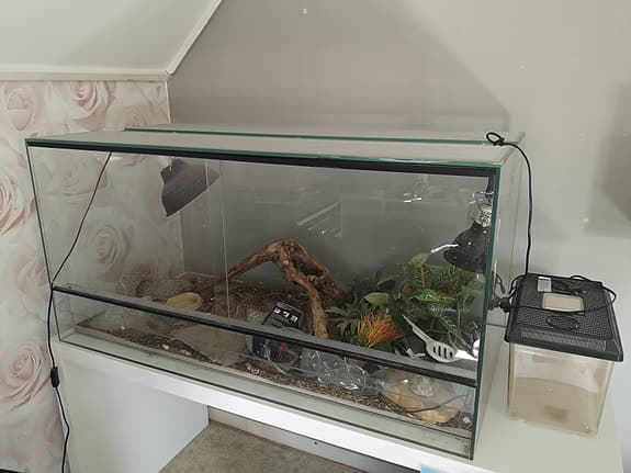 Förvaringsskåp och terrarium