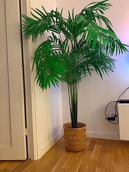 Konstgjord palm i bambukruka - nytt!