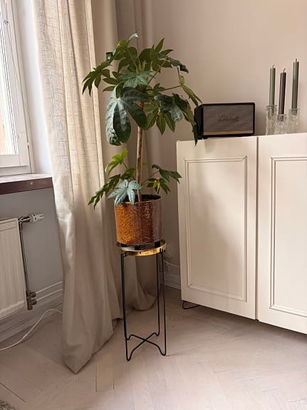 Stilrent krukställ / blomsterställ i svart med guldbricka – höjd ca 50 cm