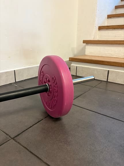 skivstång med vikter rosa